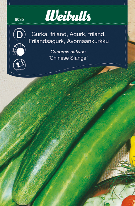 Agurk, friland 'Kinesisk Slange'